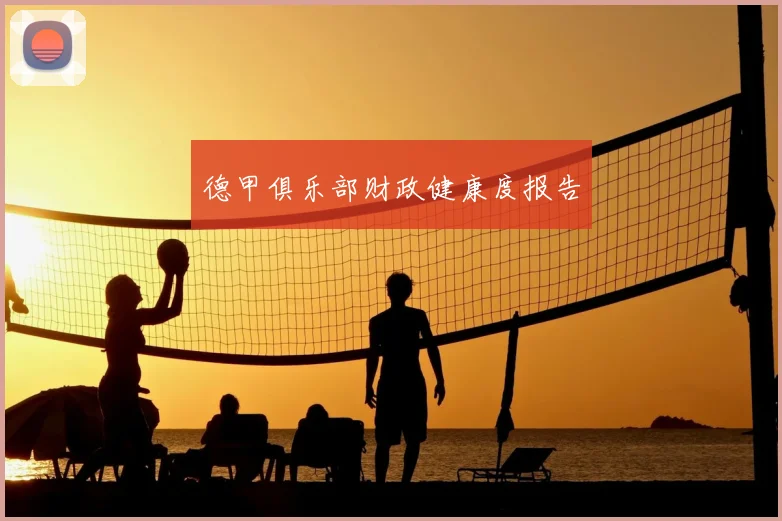德甲俱乐部财政健康度报告