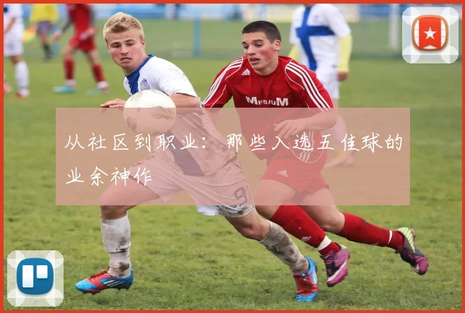 从社区到职业:那些入选五佳球的业余神作