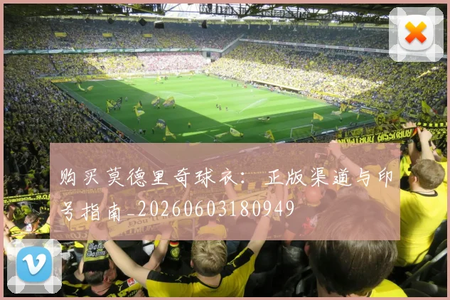 购买莫德里奇球衣:正版渠道与印号指南_20260603180949